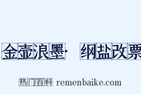 金壶浪墨·纲盐改票是什么意思的图片